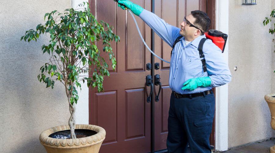 Why choose Quarterly Pest Control West Bountiful for quarterly pest control in West Bountiful